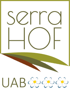 Logo Serrahof Schleis